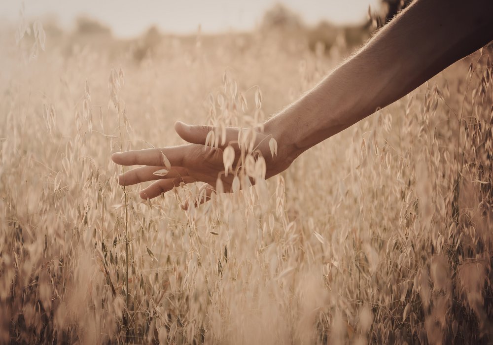 Détail de l'espace thérapeutique